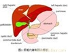 乙肝的元凶有这些！