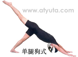 <a href='http://www.99-jk.com/html/yj/index.html'><u>瑜伽</u></a>动作 狗式