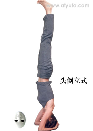 <a href='http://www.99-jk.com/html/yj/index.html'><u>瑜伽</u></a>动作 头倒立