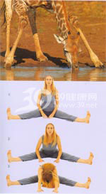 <a href='http://www.99-jk.com/html/yj/index.html'><u>瑜伽</u></a>体式：拜日式