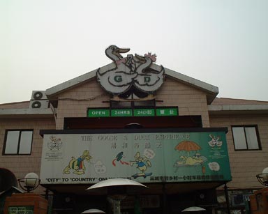 鹅和鸭酒吧