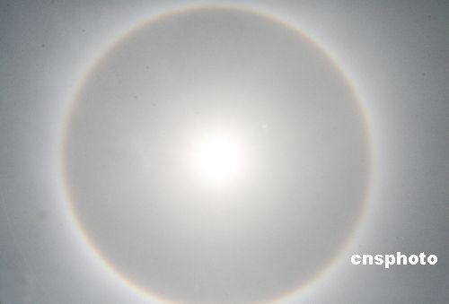 组图：河南漯河出现日晕景观