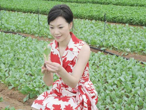 吕薇在现代化菜园参观