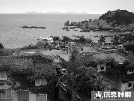 直升机降落海岛，引起一阵轰动。本版摄影 信息时报记者 罗枫