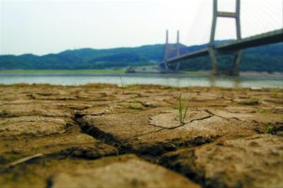 三峡大坝下三省出现严重旱情(组图)