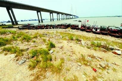 三峡大坝下三省出现严重旱情(组图)
